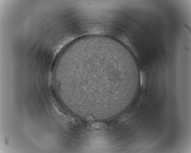 X0000102790579200809151127