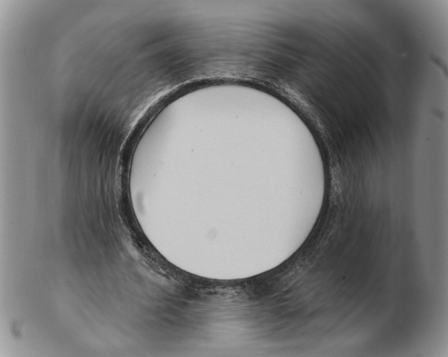 X0000102790580200809151127