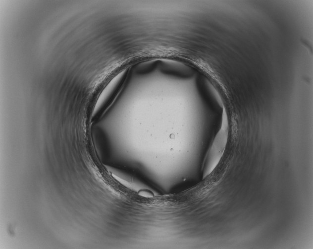 X0000102790581200809151127