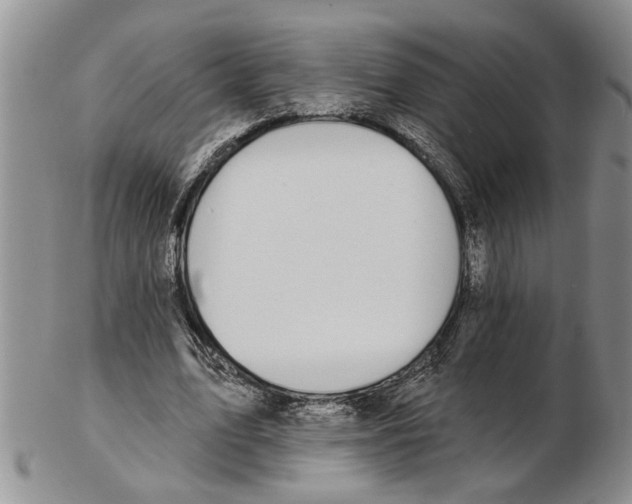 X0000102790583200809151127