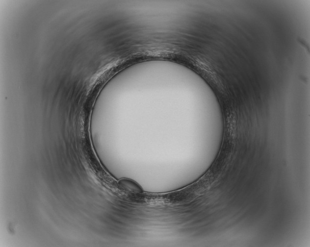 X0000102790587200809151127