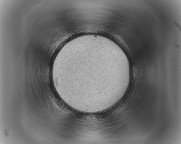 X0000102790588200809151127