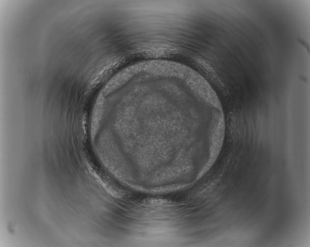 X0000102790590200809151127