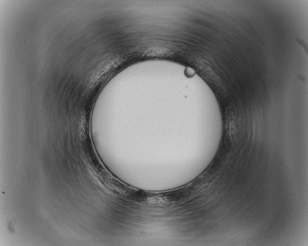 X0000102790591200809151127