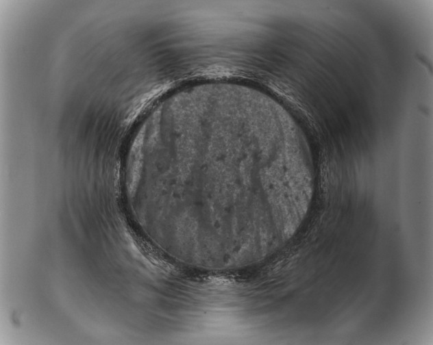 X0000102790592200809151127