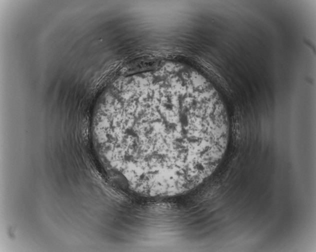 X0000102790593200809151127