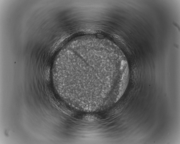 X0000102790596200809151127