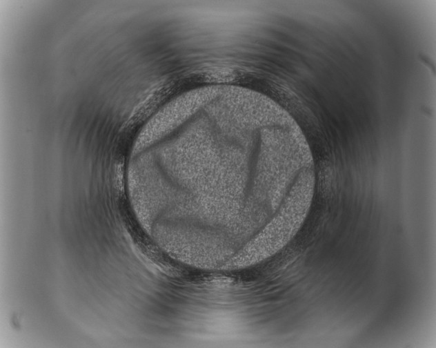 X0000102790598200809151127