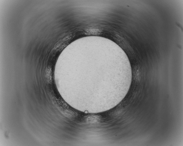 X0000102790599200809151127