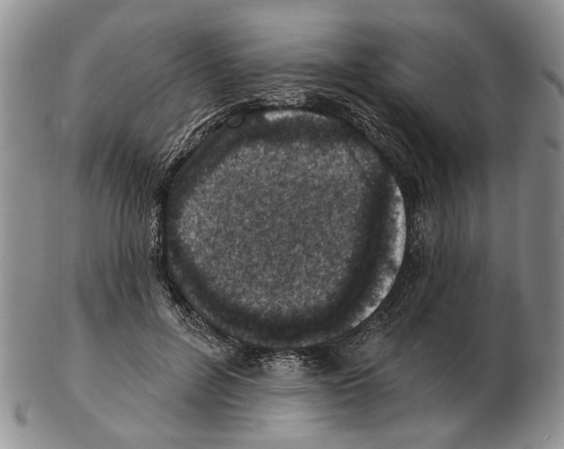 X0000102790600200809151127