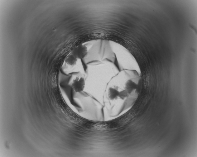 X0000102790606200809151126