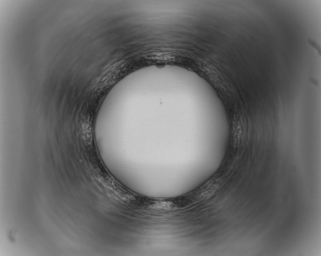 X0000102790609200809151126