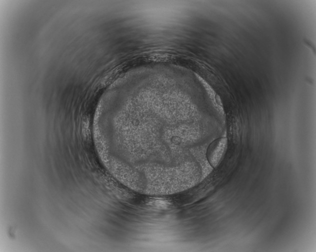 X0000102790610200809151126