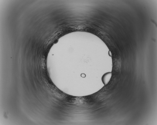 X0000102790612200809151126