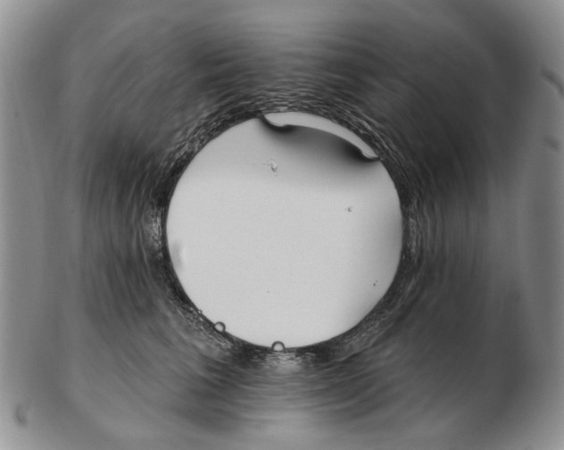 X0000102790613200809151126