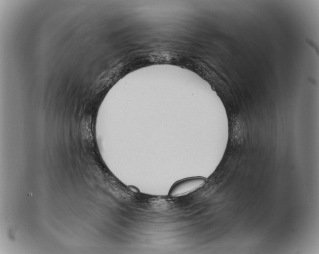 X0000102790616200809151126