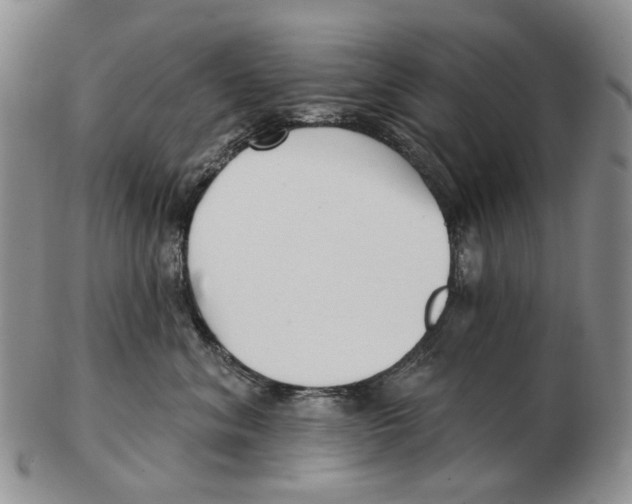 X0000102790620200809151126