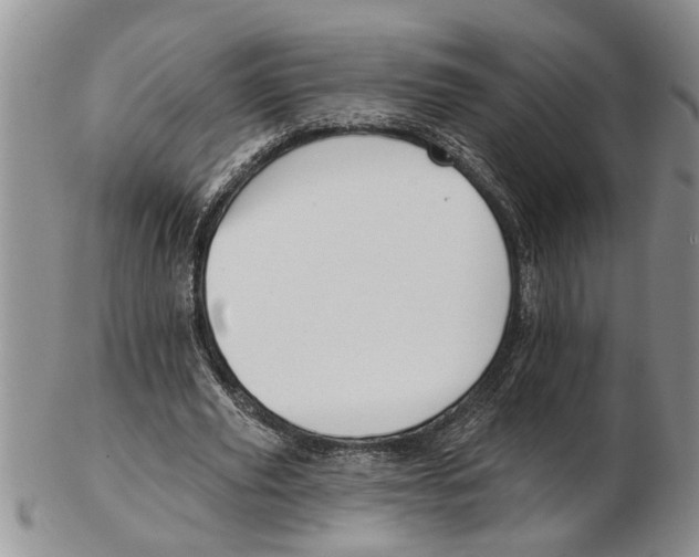 X0000102790629200809151126