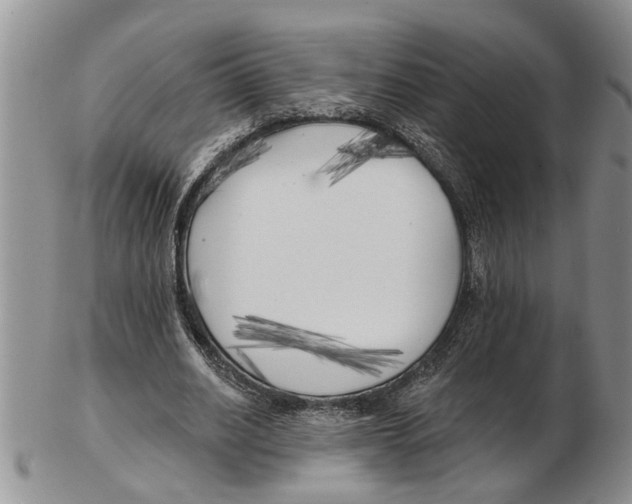 X0000102790630200809151126