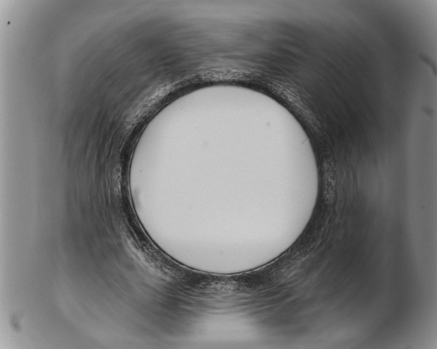 X0000102790631200809151126