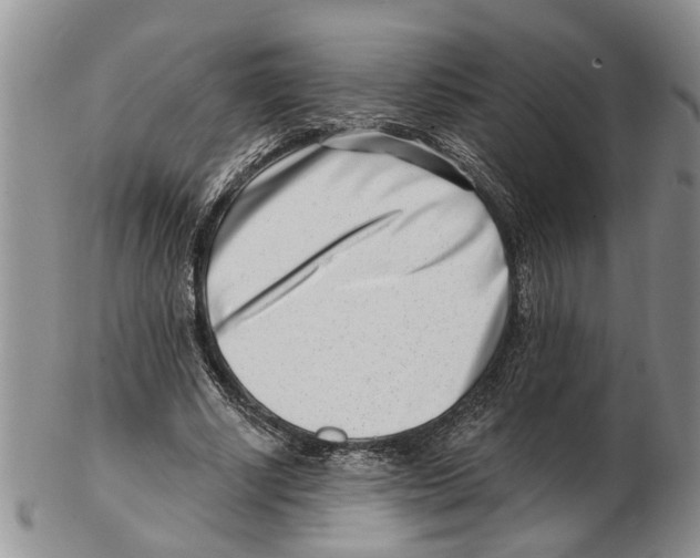 X0000102790634200809151126