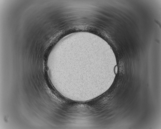 X0000102790637200809151126