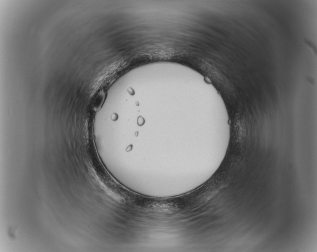 X0000102790638200809151126