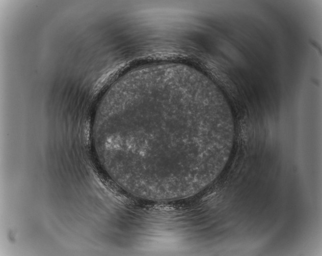 X0000102790640200809151126