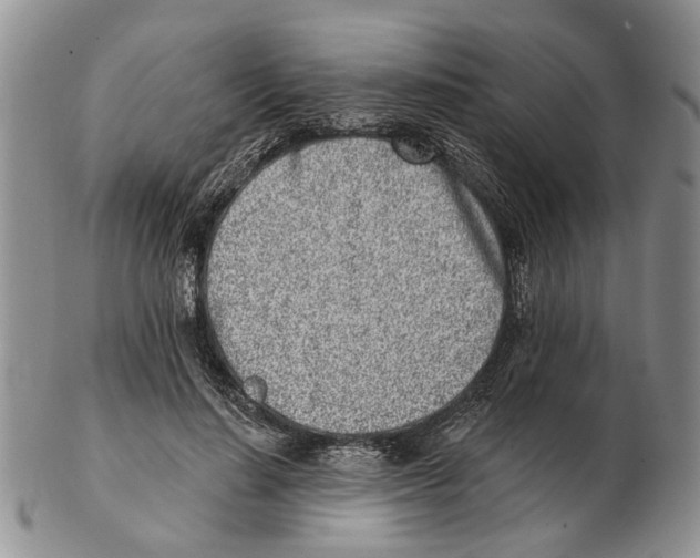 X0000102790644200809151126