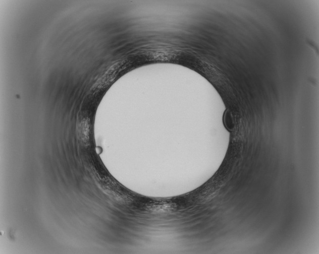 X0000102790646200809151126