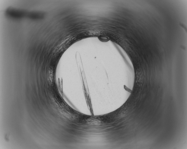 X0000102790648200809151126