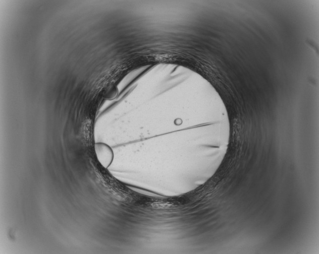 X0000102790650200809151126