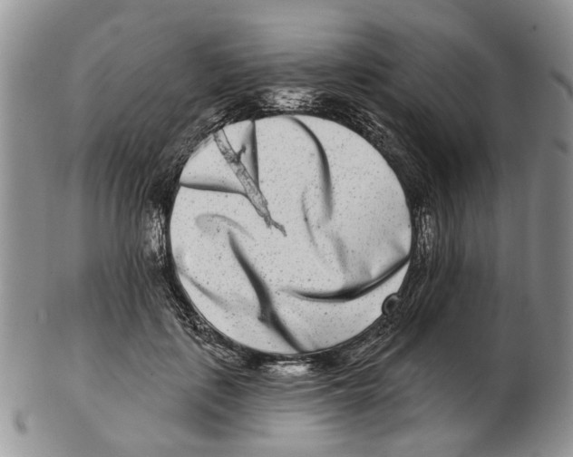 X0000102790651200809151126