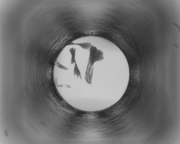 X0000102790652200809151126