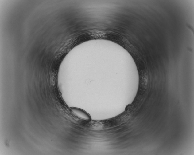 X0000102790658200809151126