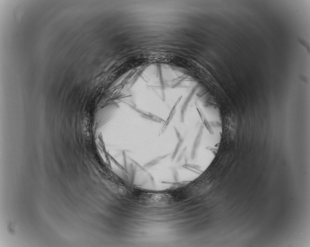 X0000102790663200809151126