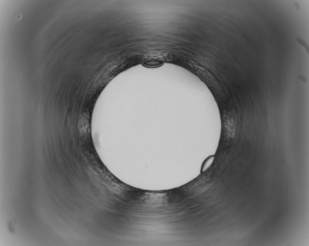 X0000102790665200809151126