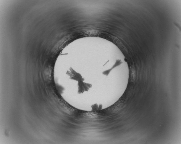 X0000102790668200809151126