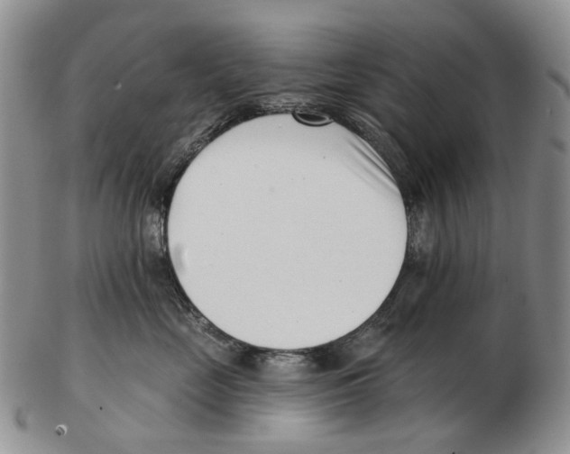 X0000102790669200809151126