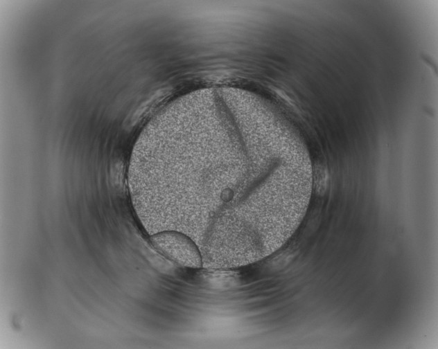 X0000102790670200809151126