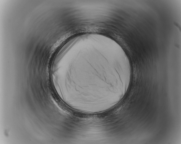 X0000102790674200809151125