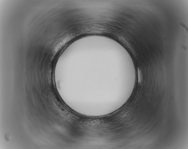 X0000102790675200809151125