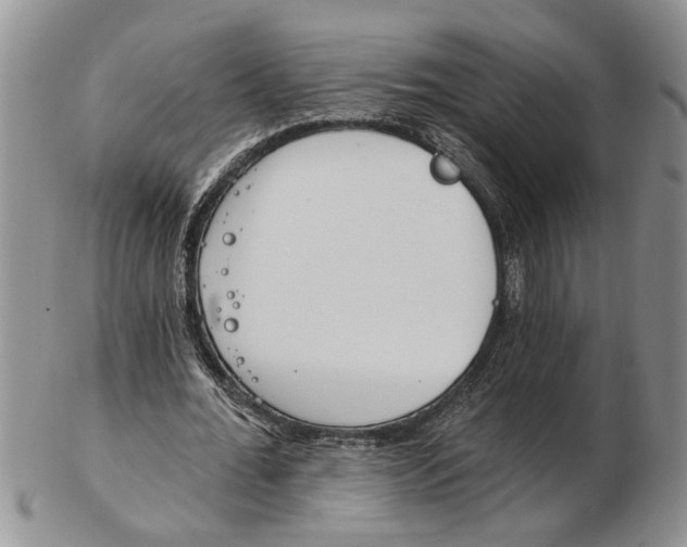 X0000102790676200809151125