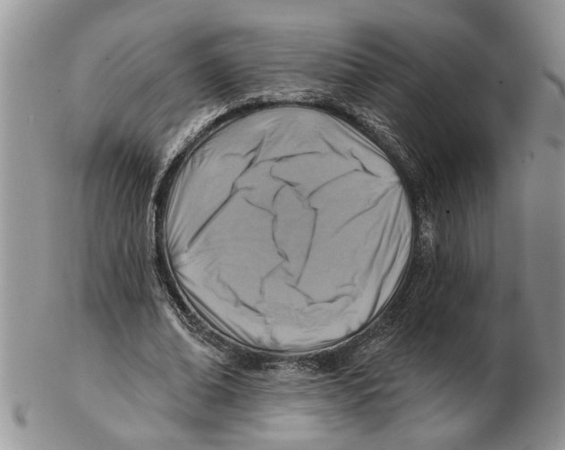 X0000102790678200809151125