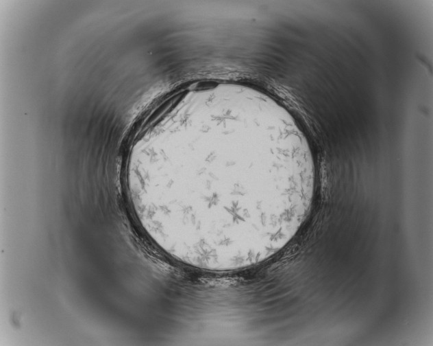 X0000102790679200809151125