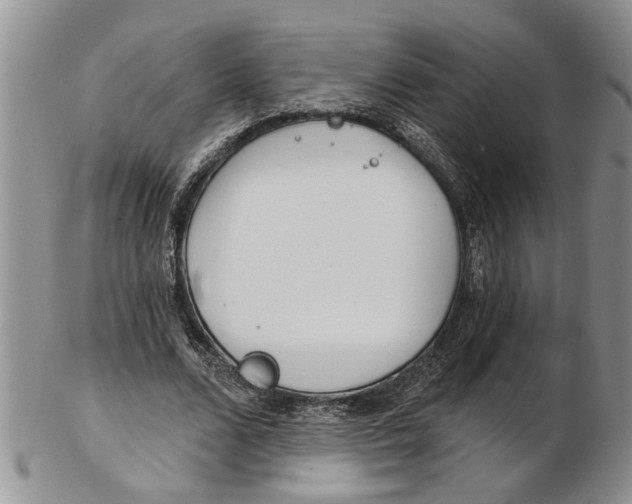 X0000102790680200809151125