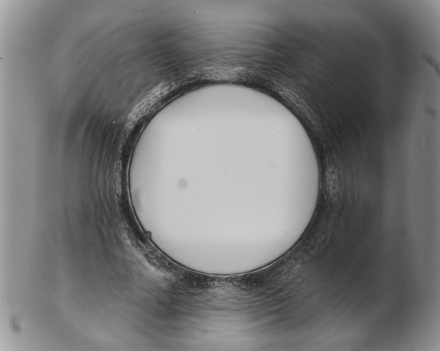 X0000102790682200809151125