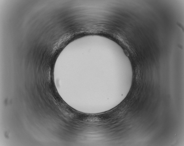 X0000102790685200809151125