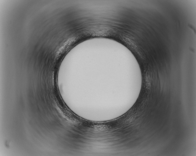 X0000102790686200809151125