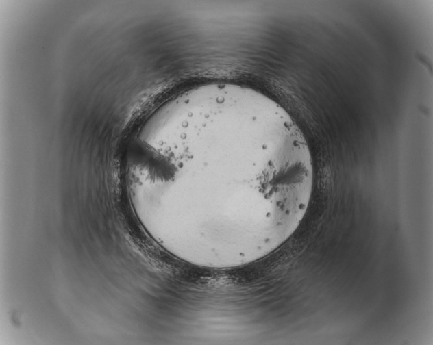 X0000102790688200809151125